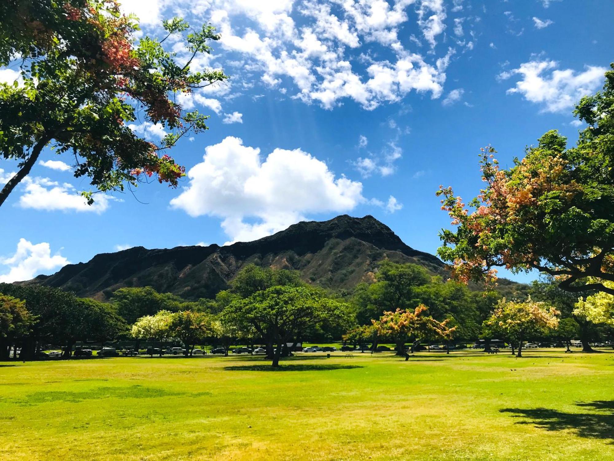 Royal Kuhio 1606 - Spacious Studio With Diamond Head City Views In The Heart Of Waikiki! Honolulu Exterior foto